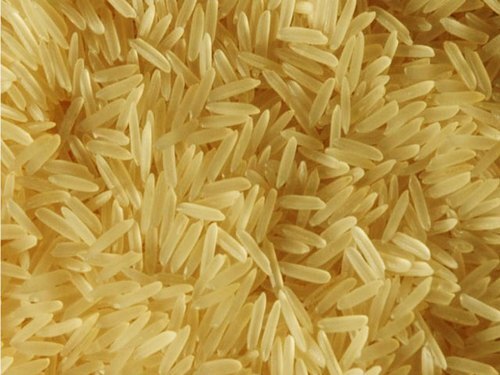 PR-11 Golden Sella Rice