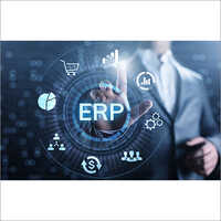 ERP Software Service