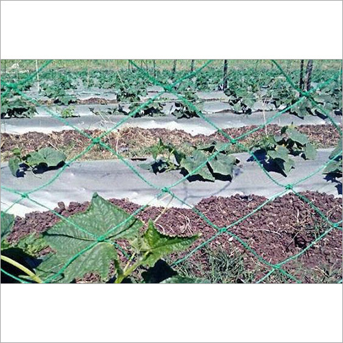 Nylon Blue Crop Support Net