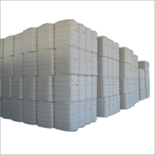 100 Cotton Bales at Best Price in Warangal, Telangana Sri Raja