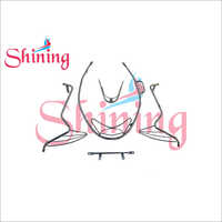 Pleasure Scooty Parts