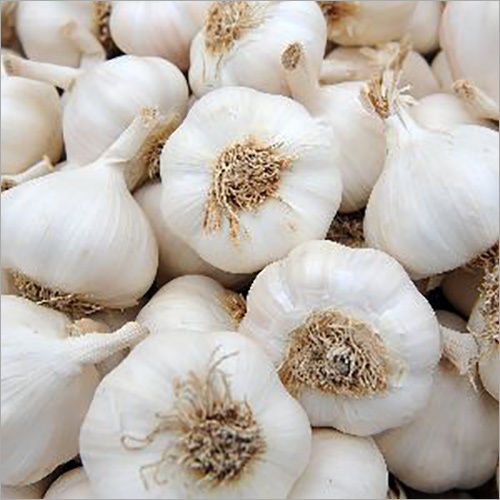 Preserved Fresh Garlic