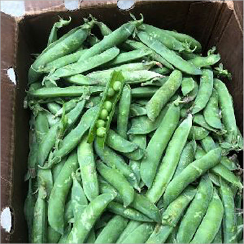 Fresh Green Peas Shelf Life: 5-7 Days