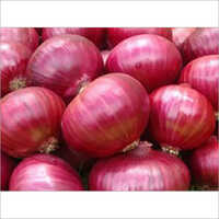 Fresh Red Onion