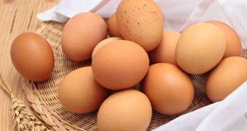 Broiler Chicken Eggs