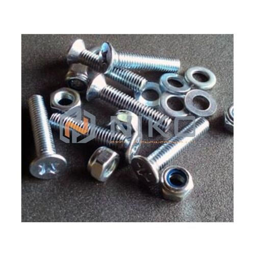 Silver Ss 304L Bolt/Nut