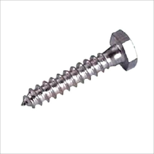 Stainless Steel Hex Coach Screw