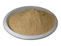 Coleus Forskohlii Extract (20%)