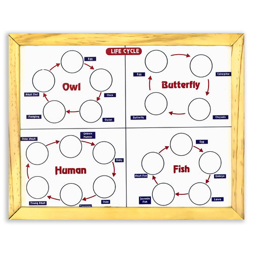 Magnetic Life Cycle - Covering 7 Life Cycles