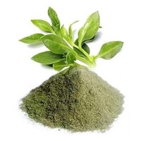 Andrographis Paniculata Extract