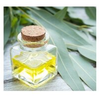 Eucalyptus Oil (Eucalyptus Globulus)