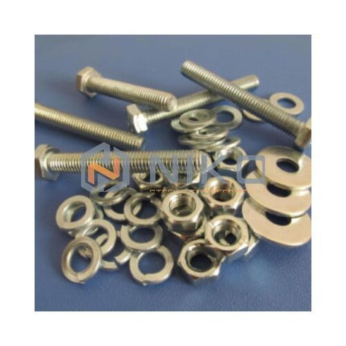 Silver Stainless Steel 310/310S Bolt/Nut