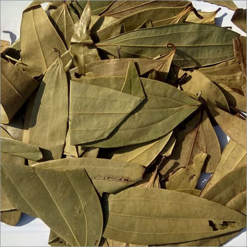 Light Brown Bay Leaf