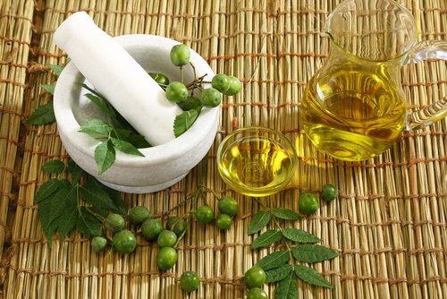 Herbal Neem Oil (Azadirachta Indica