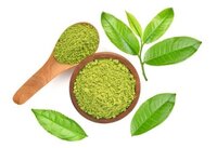 Green Tea Ext 50% Polyphenol