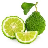 Herbal Bergamot Oil (Citrus Bergamia)