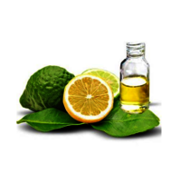 Herbal Bergamot Oil (Citrus Bergamia)