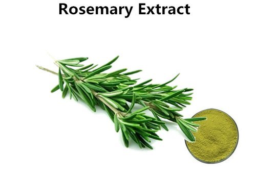 Pure Rosemary Leave Extract Age Group: Suitable For All