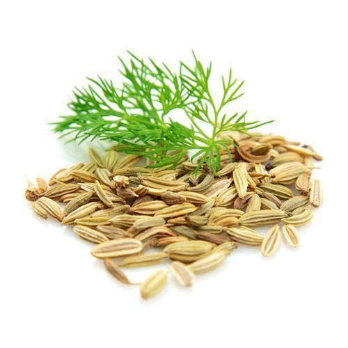 Caraway Oil (Carum Carvi)