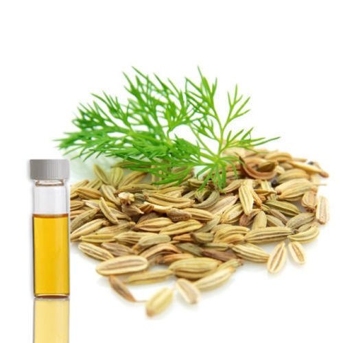 Dill Seed Oil (Anethum Graveolens) Age Group: Suitable For All