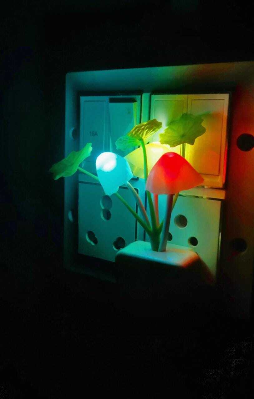 LED Mushroom Lamp