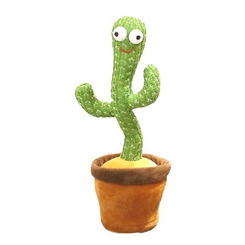 Cactus Dancing Tree Length: 10 X 10 X 15 Centimeter (Cm)