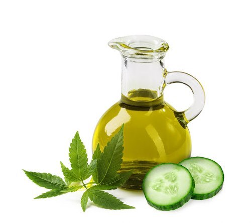 Cucumber Oil (Curumin Sativus) Age Group: Suitable For All