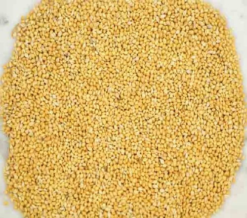 Organic Foxtail Millets