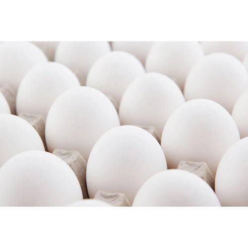 White Egg Egg Origin: Chicken