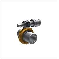 Worm Gear