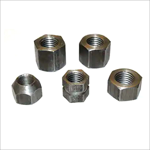 SS Hex Nuts