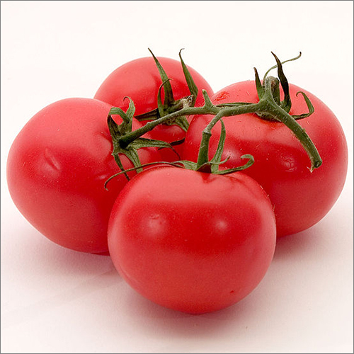 Hybrid Tomato Shelf Life: 3 Months