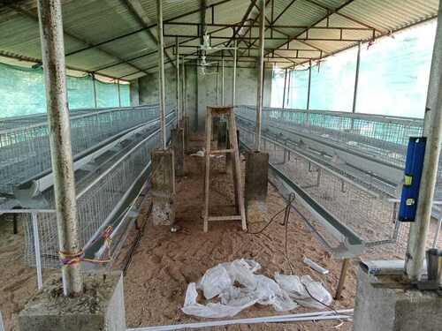 Poultry cage for layer farm