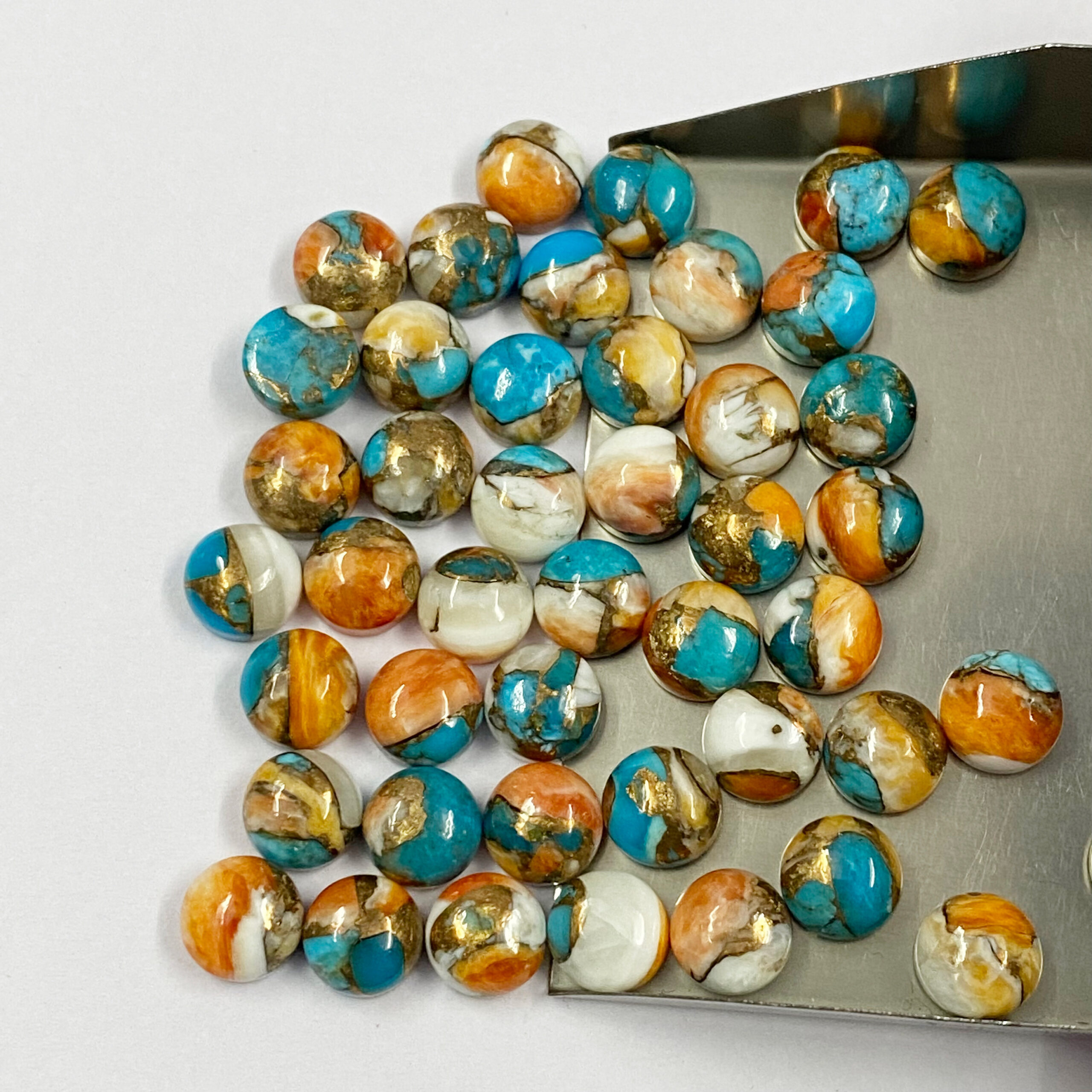 Oyster Turquoie Round Cabochon Loose Gemstones