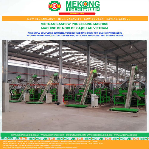 Automatic Cashew Shelling Line