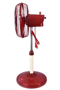 12 Inch All Rounder