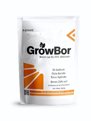 Boron 20% W/S