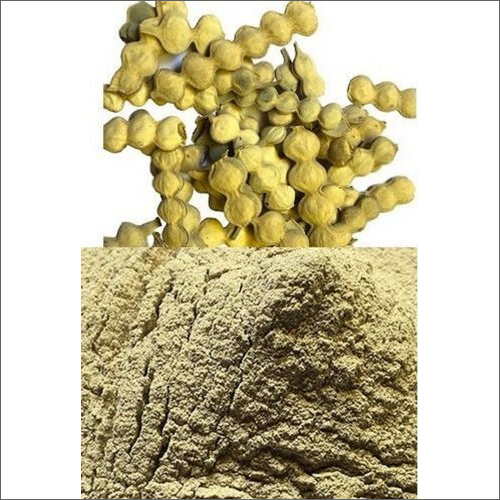 Babul Fali Powder Grade: Herbal Grade