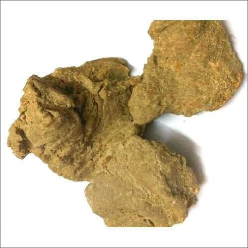 Powder Moringa Oil Seed Cake