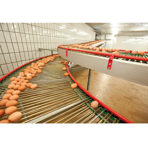 Egg Conveyor