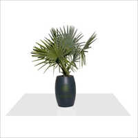 Frp Fiberglass Planter - 28 Inch Height, Black Color, Pu Coated Finish | Customizable, Weather Resistant, Indoor And Outdoor Use