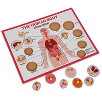 Wooden Internal Body Parts Puzzle
