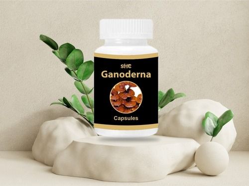 Herbal Medicine Ganoderma Capsules