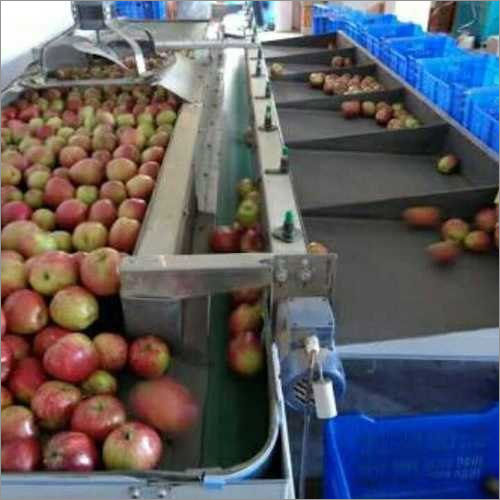 Lower Energy Consumption Apple Grading Machine