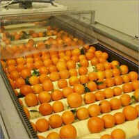 Orange And Kinnow Waxing And Grading Machine Capacity: 2000-10000 Kg/hr
