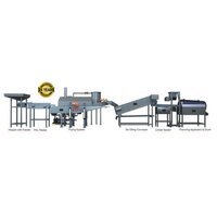 Automatic Snacks Frying Machine