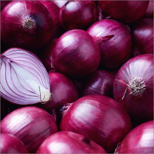 Fresh Onion