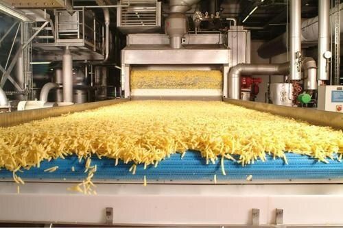 French Fries Production Line