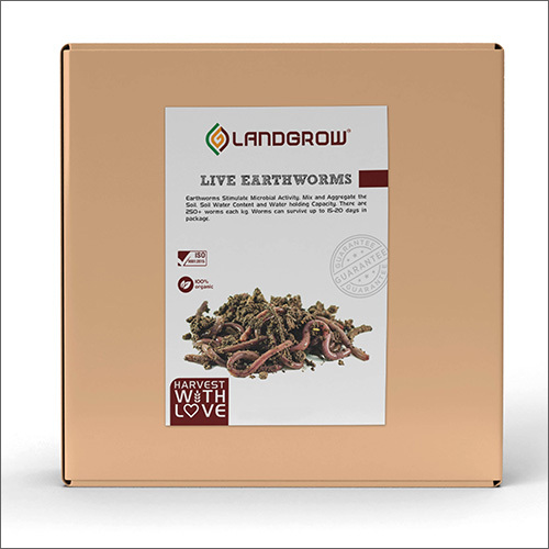 Live Earthworms