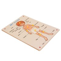 Wooden Parts of Body Puzzle with knobs